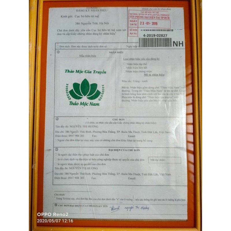 CHÈ GIÃN TĨNH MẠCH THẢO MỘC NAM