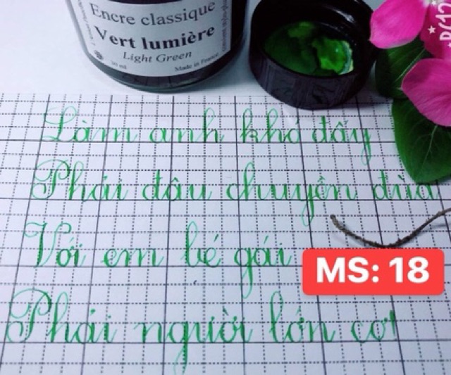 mực encre classique ( mực pháp)