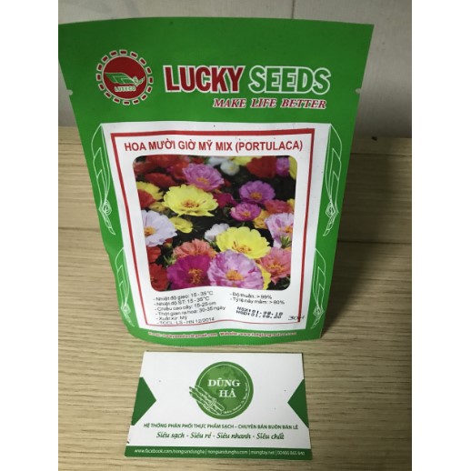 Hạt giống hoa mười giờ Mỹ Mix gói 30 hạt