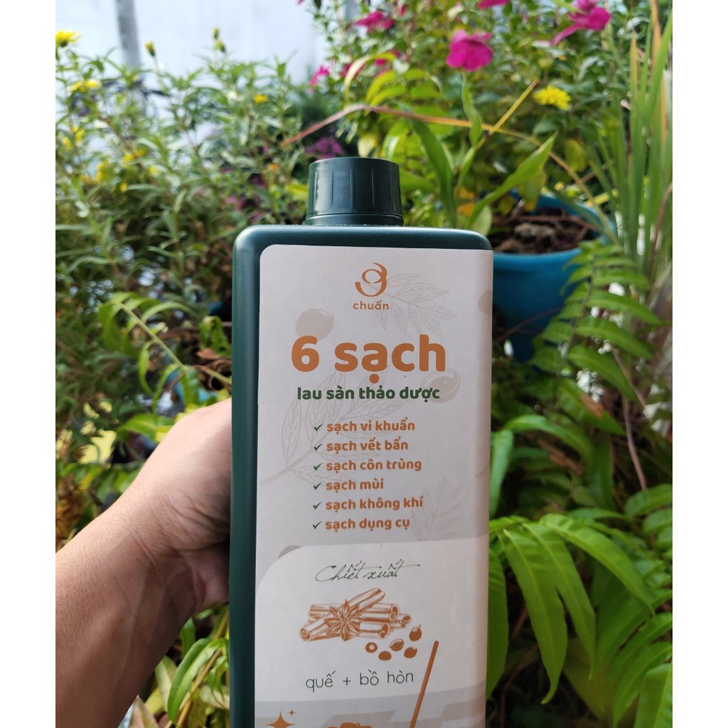 Nước lau sàn thảo dược 6 SẠCH AN THÁI HƯNG bồ hòn tinh dầu quế sả chanh đuổi kiến muỗi côn trùng diệt khuẩn