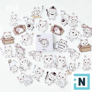 Set 45 Sticker Dán Mèo Trắng Hộp Mini | Dán Điện Thoại | Dán Laptop | Dán Mũ Bảo Hiểm | Dán Vali