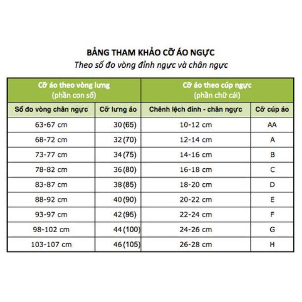 Áo Dán Ngực Cánh Tiên Có Dây Ngang Chống Tụt B060