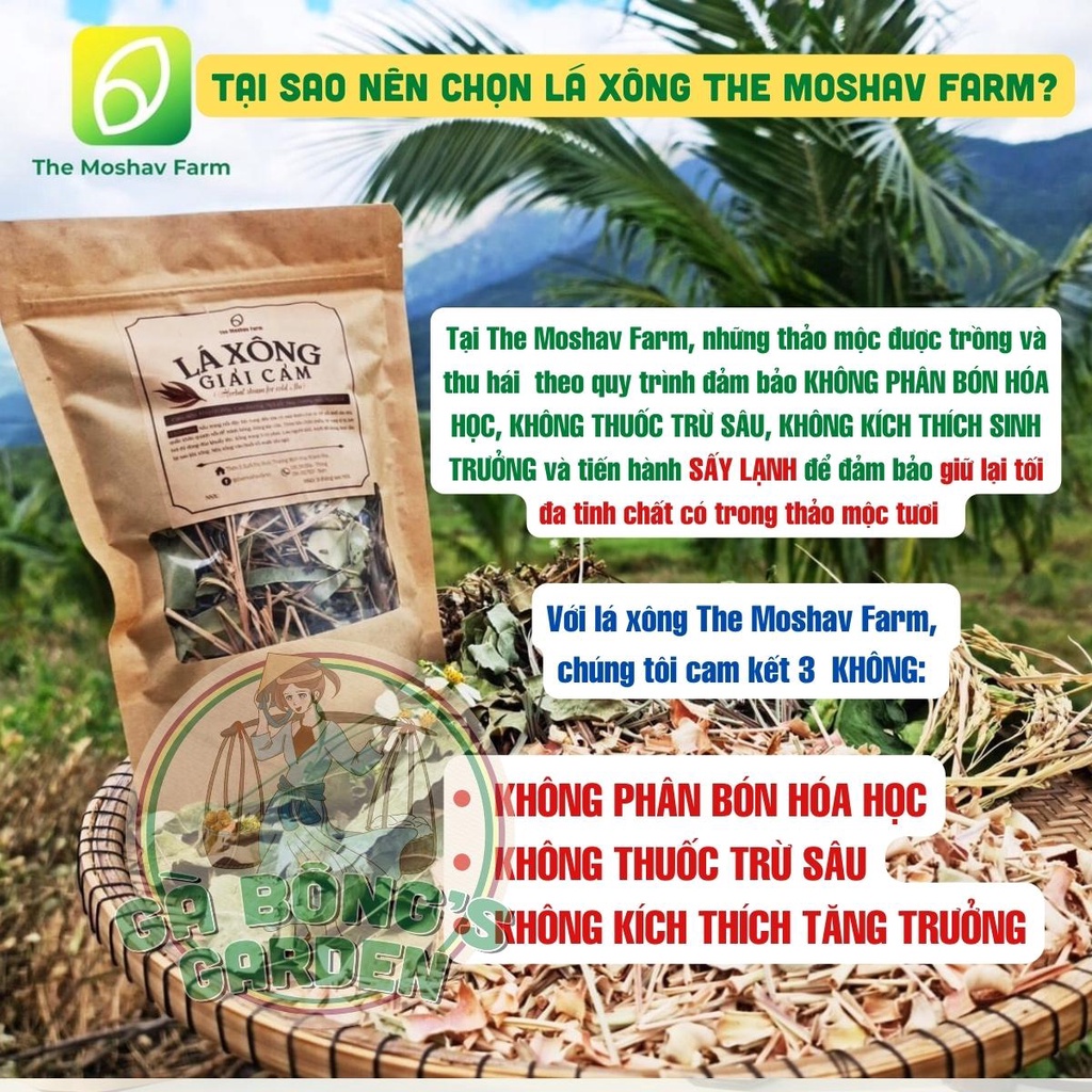 Lá Xông Giải Cảm The Moshav Farm Tăng Đề Kháng, Gói Xông Thảo Dược Sấy Khô Thải Độc 100g