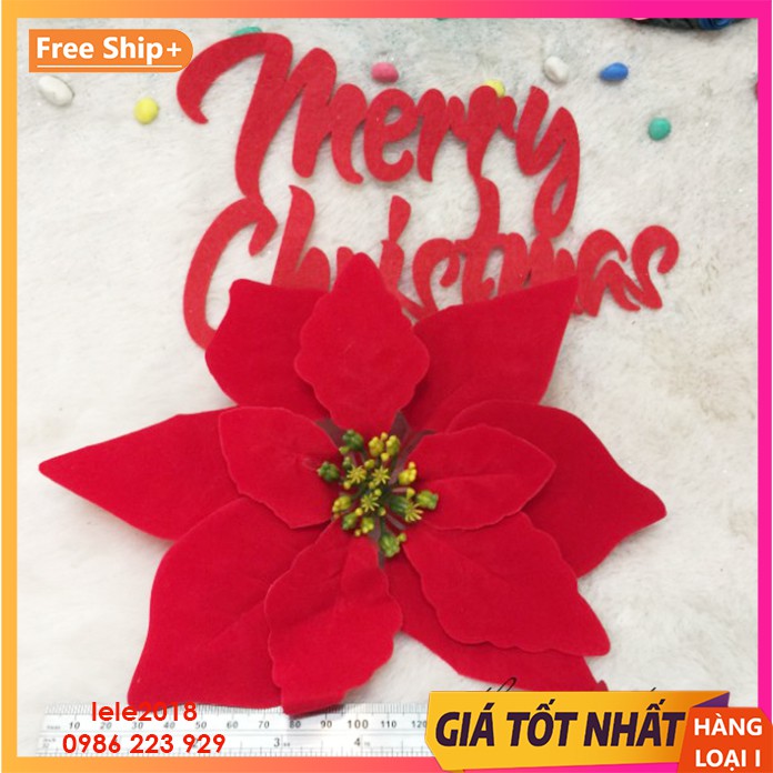 Hoa trạng nguyên vải nhung đỏ 22cm trang trí noel