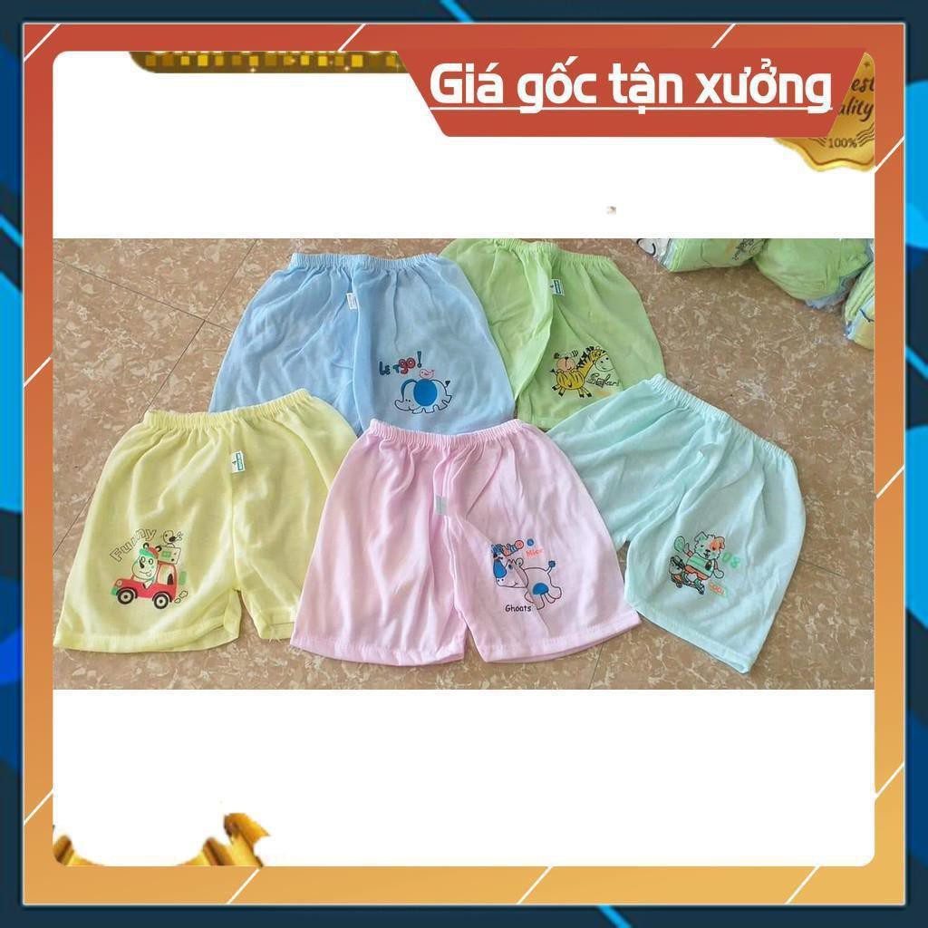 💝 Quần đùi cotton in nhiệt siêu thoáng mát cho bé trai/gái💝