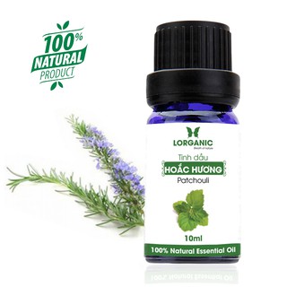 Tinh dầu hoắc hương Patchouli 10ml