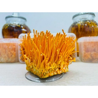 Đông trùng hạ thảo Tươi hộp 200g
