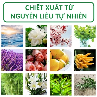 Tinh dầu thiên nhiên ❤️Hoa Hồng❤️ 10ml thơm phòng dùng cho đèn xông máy phun sương tạo ẩm