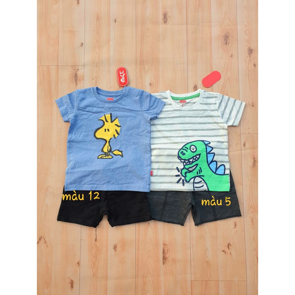 Bộ xuất nhật cộc tay 12 hình