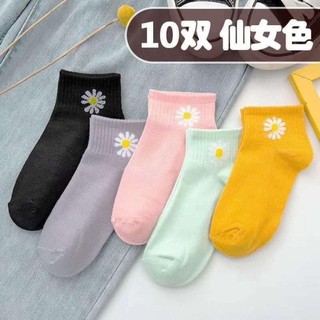 Tất hoa cúc - tất gấu