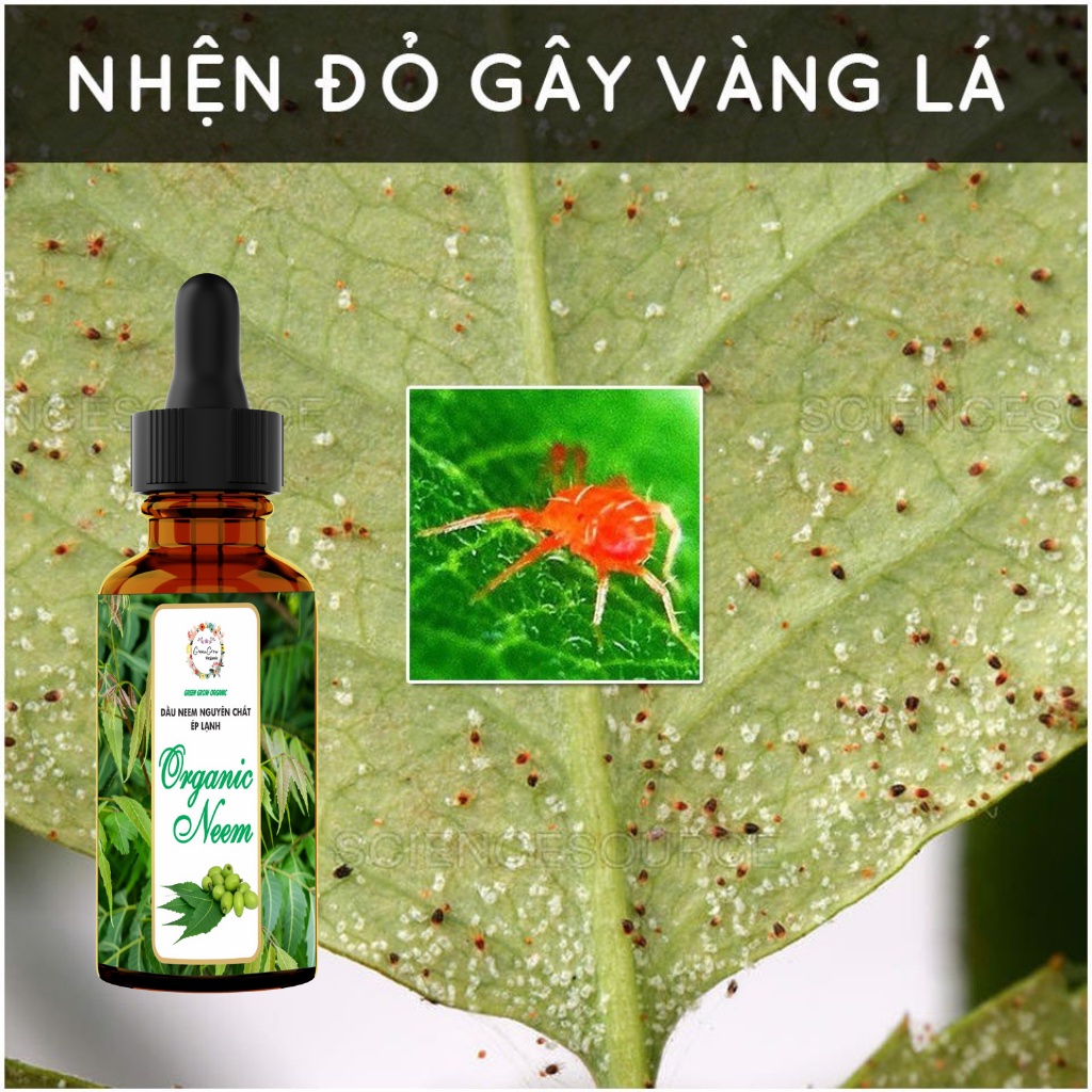 Tinh dầu Neem oil Green Grow Organic phòng trừ sâu bệnh bọ trĩ nhện đỏ nấm lá cho Hoa Hồng và các loại hoa kiểng MS185