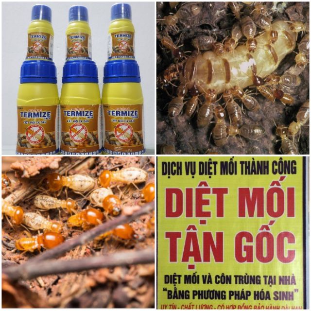 Thuốc diệt mối Termize 50ml Malaysia diệt cả đàn(tặng bình xịt)