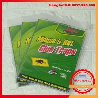 Combo 10 miếng dính chuột cao cấp