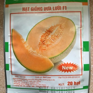 HẠT GIỐNG DƯA LƯỚI F1