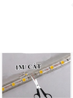 Cuộn led 100m trang trí mã 3014