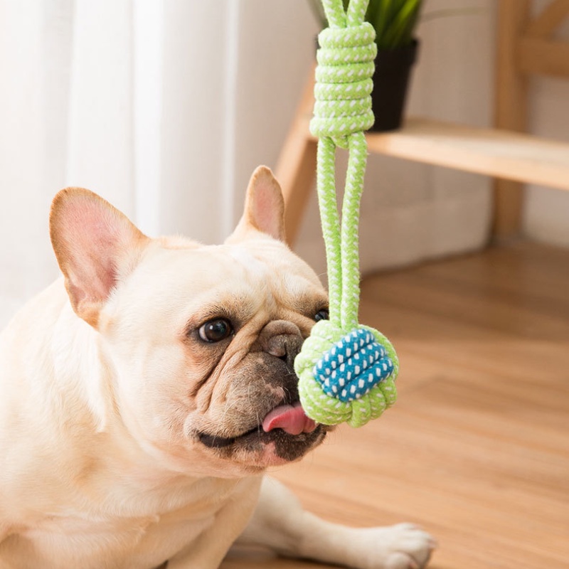 【HiPiDog】Vật nuôi mài răng trò chơi trò chơi nylon dây màu xanh lá cây đồ chơi