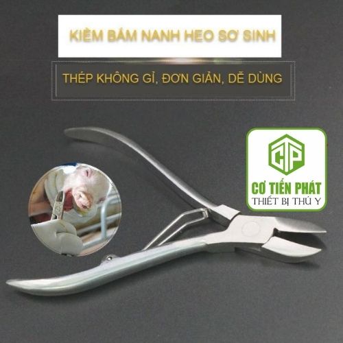 Kìm bấm răng nanh heo con cao cấp Inox không gỉ