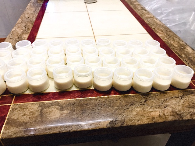 Set 200 hũ sữa chua 100 ml