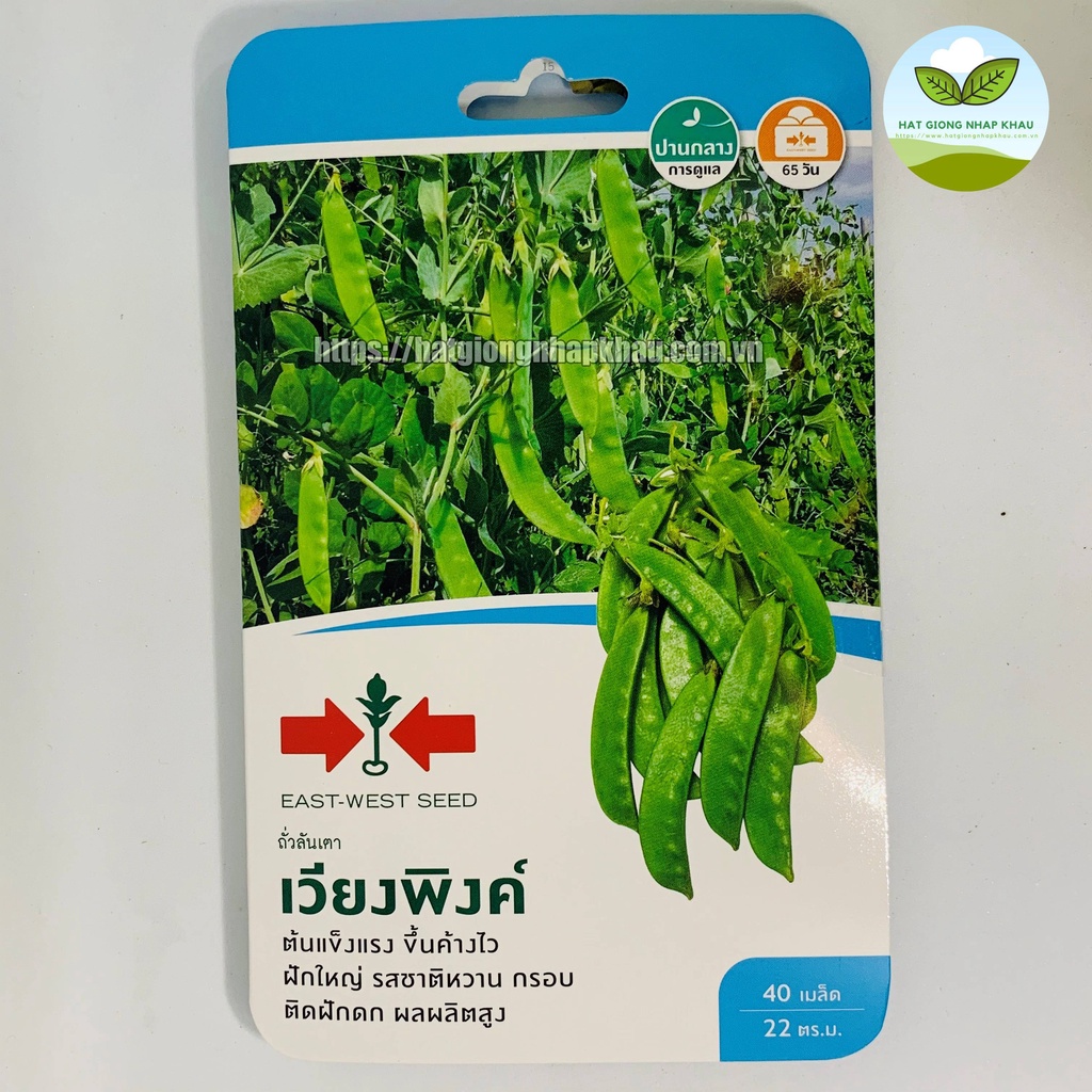 Hạt giống đậu hà lan dẹp ăn quả Thái Lan. 40 hạt/gói