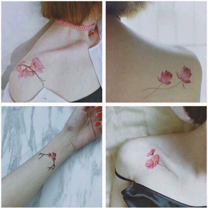 Combo 30 hình xăm dán tatoo