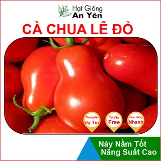 Hạt giống Cà Chua Cherry Lê Đỏ thu hoạch sớm, dễ trồng, nảy mầm cao, sinh trưởng khoẻ
