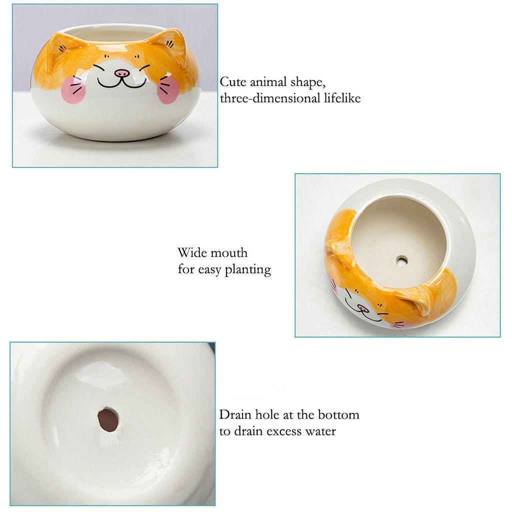 Chậu Trồng Cây Thủ Công Mini Hình Hoạt Hình Sáng Tạo