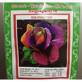 M.hạt giống hoa hồng Nhật Bản