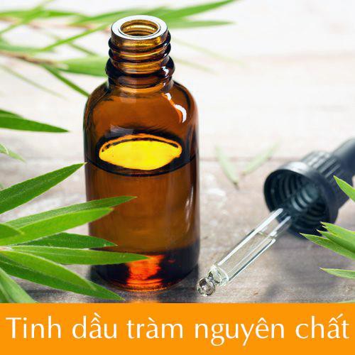 Tinh dầu tràm gió nguyên chất ( Cajeput Essense Oil ) GUTY