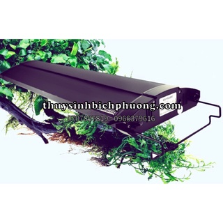 Máng đèn odyssea t5ho - đèn thuỷ sinh cho hồ cá thuỷ sinh