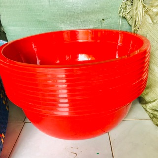Thau Nhựa Lớn (Omo)
