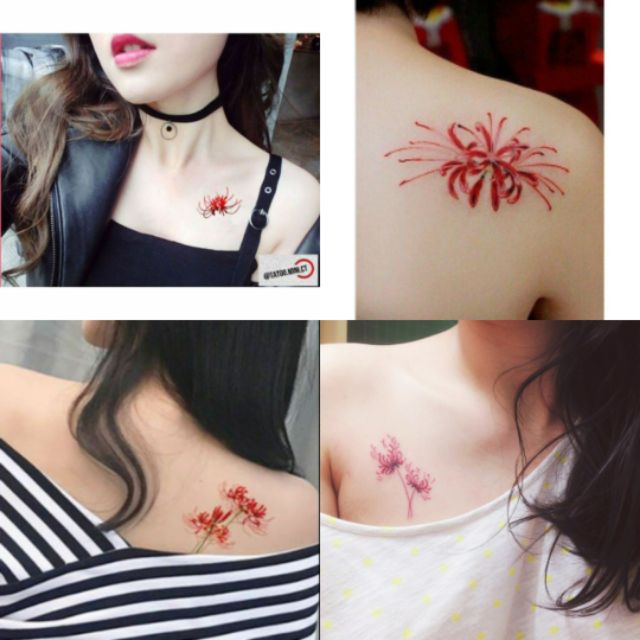 Hình xăm tattoo hoa Bỉ ngạn