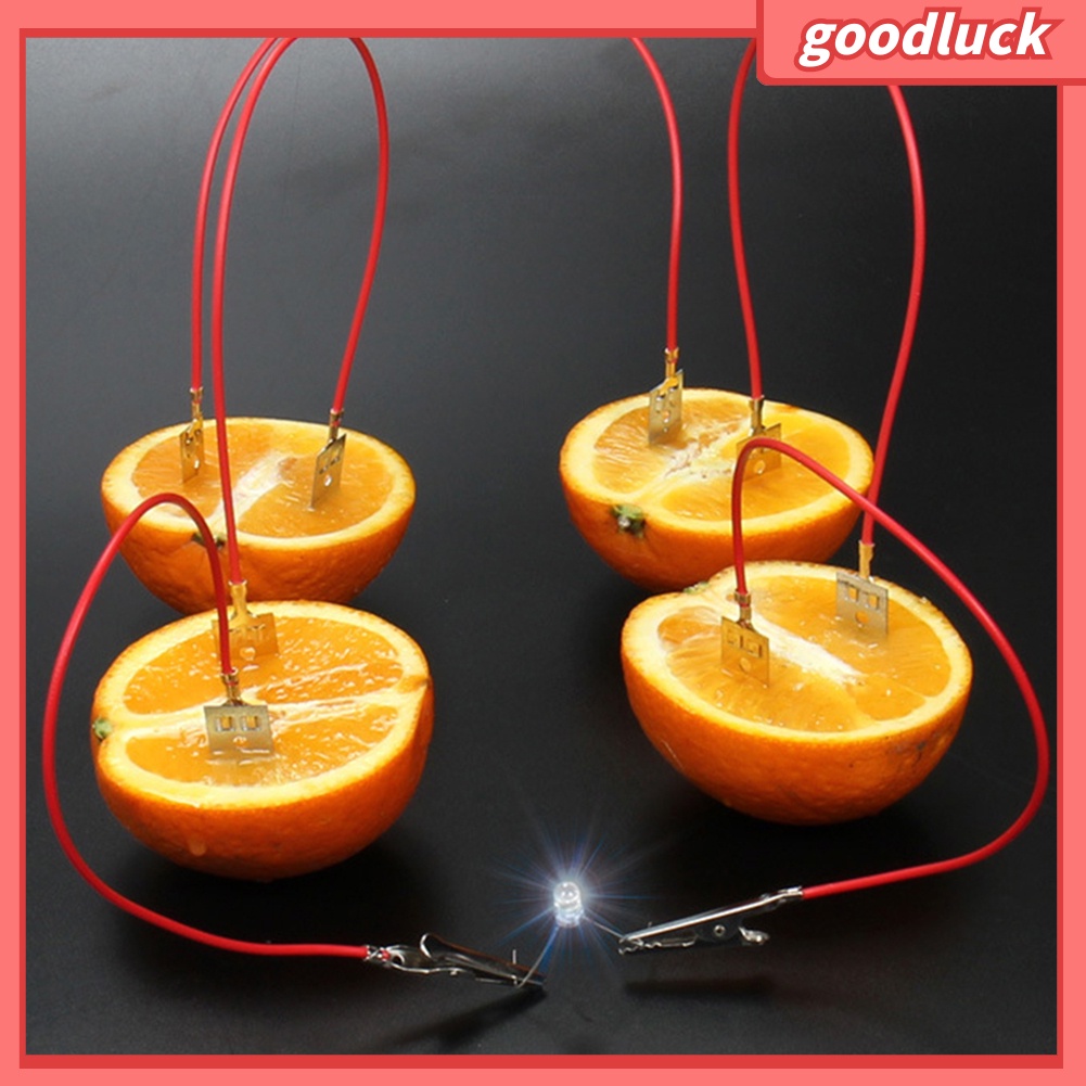 Bộ đồ chơi thí nghiệm khoa học có đèn chạy pin hình trái cây dành cho học sinh