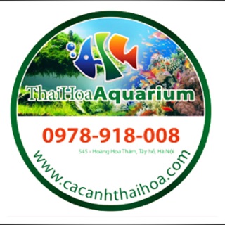 Thaihoa_aquarium