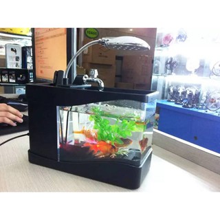 Bể cá phong thủy mini sử dụng nguồn usb