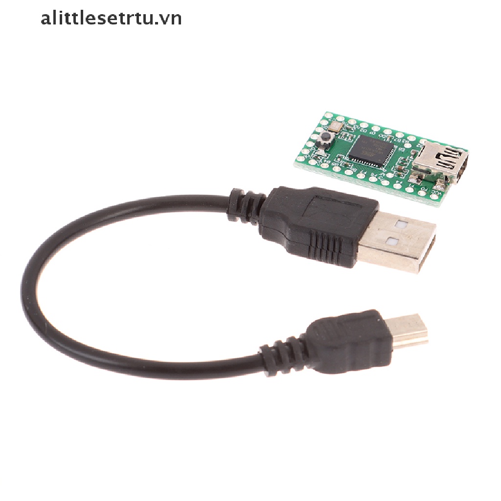 Bảng Mạch Phát Triển AVR USB 2.0 Dành Cho Thanh Thiếu Niên