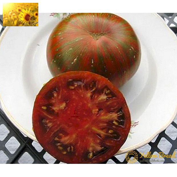 Hạt Giống Cà Chua Socola Qủa To  - Giàu Dinh Dưỡng,Năng Suất Cao - MUA 3 TẶNG 1 CÙNG LOẠI