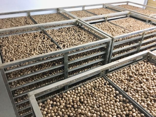 Combo 3kg Tỏi đen cho khách sỉ | BigBuy360 - bigbuy360.vn