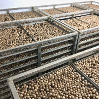 Combo 3kg Tỏi đen cho khách sỉ