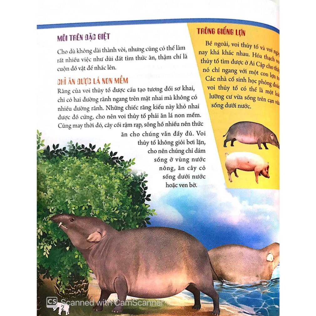 Sách - Bách Khoa Động Vật Dành Cho Trẻ Nhỏ - Động Vật Tiền Sử - Minh Long