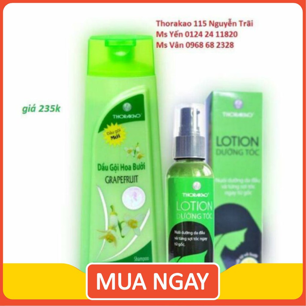 combo gội bưởi+ lotion tinh dầu bưởi THORAKAO