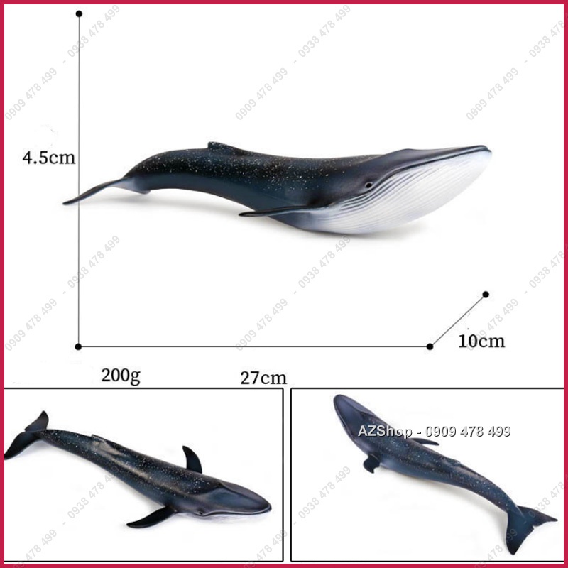 Mô Hình Cá Voi Xanh Dài 27cm - Thế Giới Động Vật - 7673.5