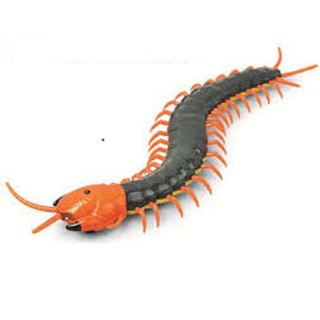 CON RẾT ĐIỀU KHIỂN SẠC ĐIỆN, con ret dieu khien, Đồ chơi côn trùng điều khiển siêu bền thiết kế chắc chắn TẶNG KÈM PIN