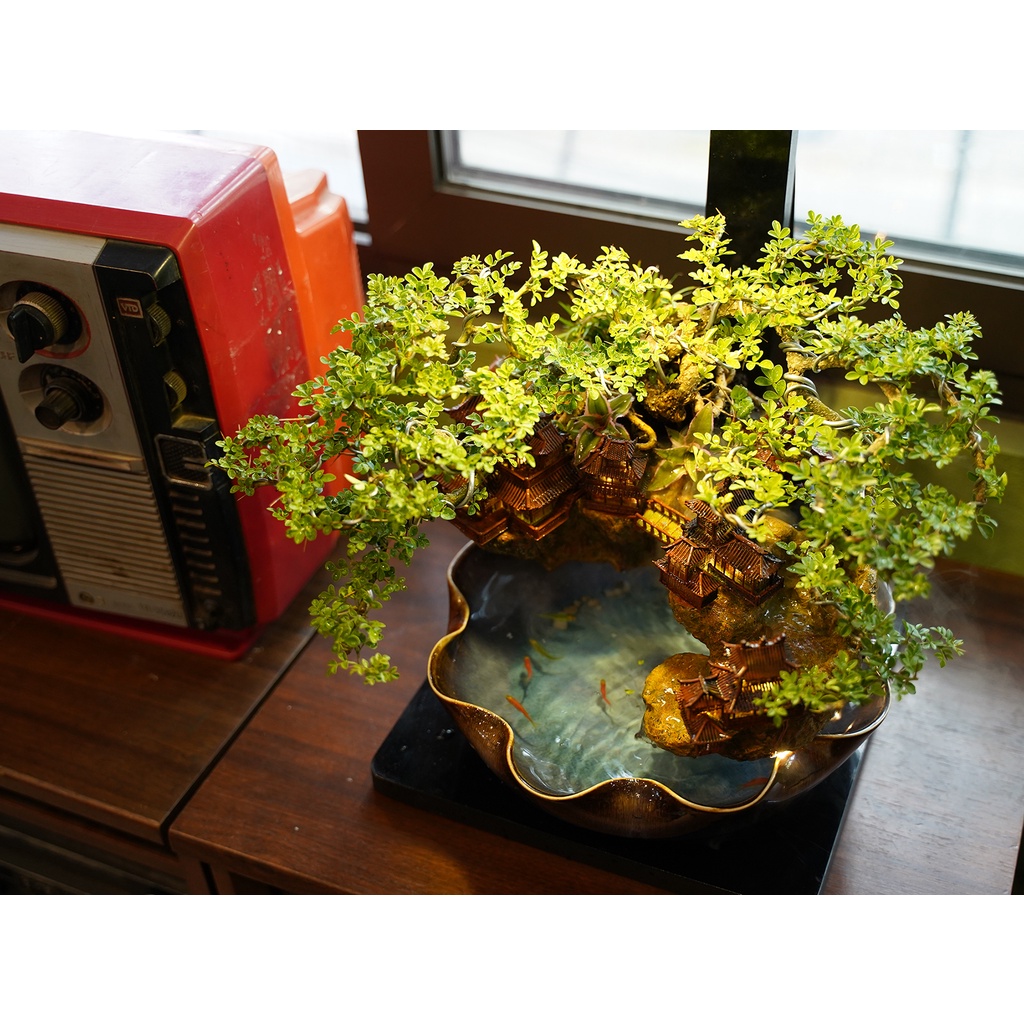 Mẫu tiểu cảnh để bàn, tiểu cảnh mini, phong thủy, thác nước, cổ trấn - Mẫu Đảo Mặt Trăng