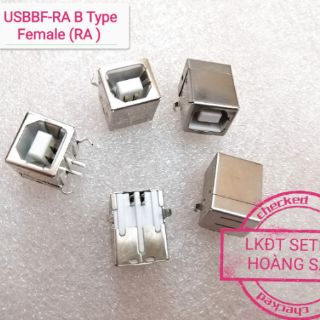 Cổng USB A Type B Type mini USB 1 chiếc