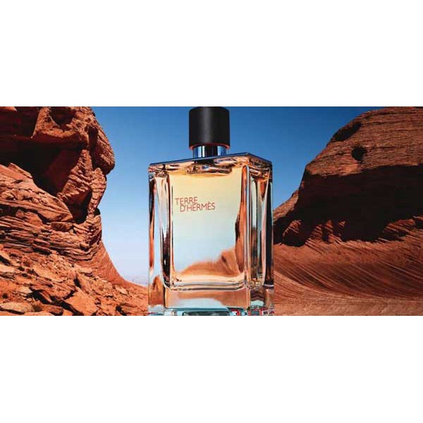 NƯỚC HOA NAM TERRE D'HERMÈS EDT 100ML