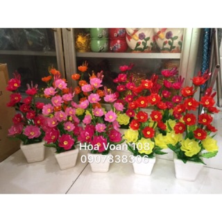 Hoa lay ơn handmade flower