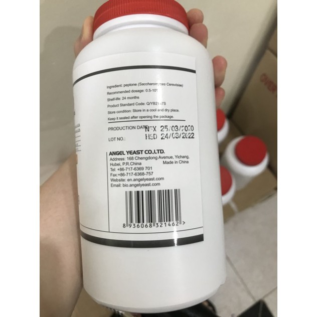 YEAST EXTRACT, peptone 500g FP101 đông trùng hạ thảo nuôi cấy vi sinh pepton angel