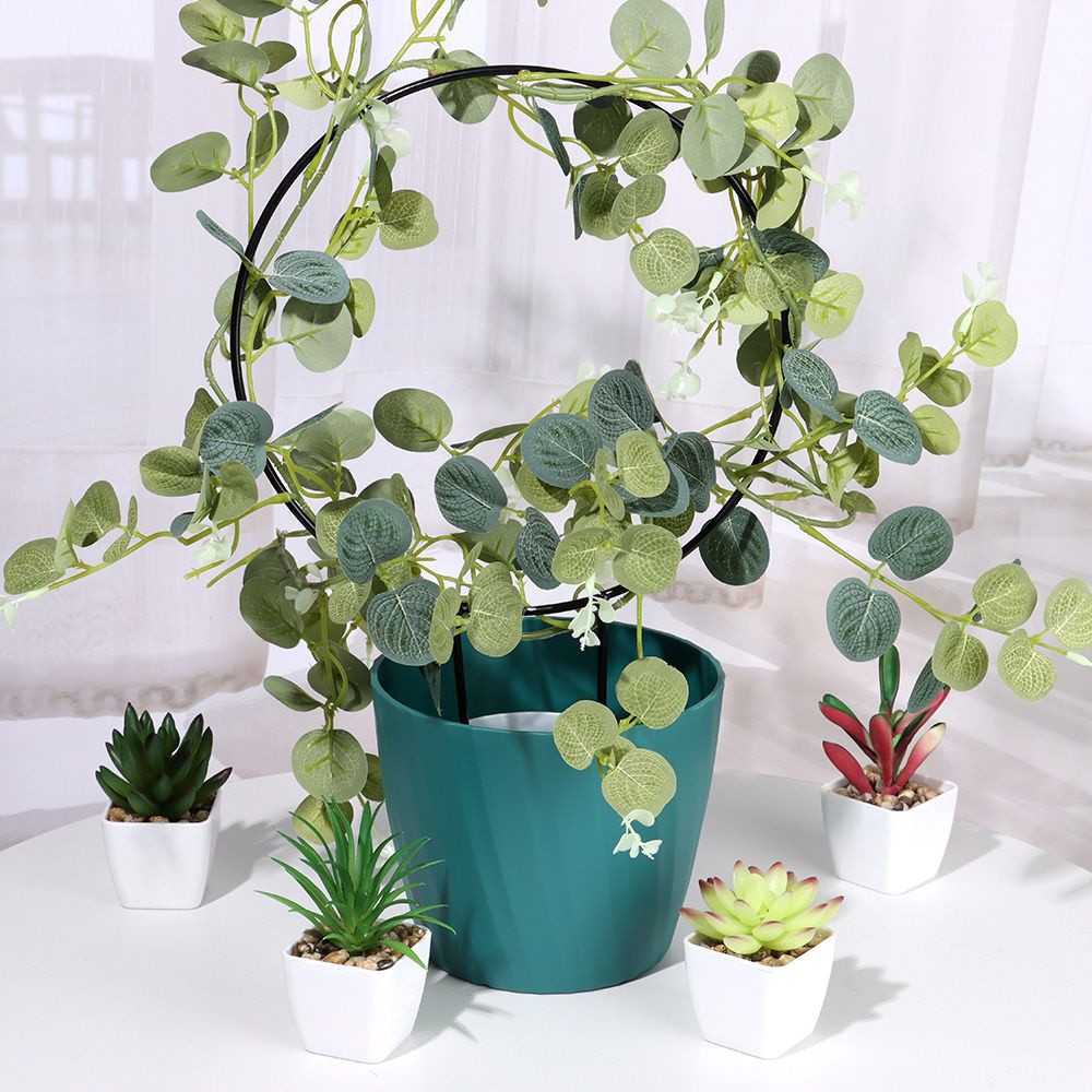 Khung tạo hình nghệ thuật trồng củ bình vôi, cây dây leo nhiều mẫu