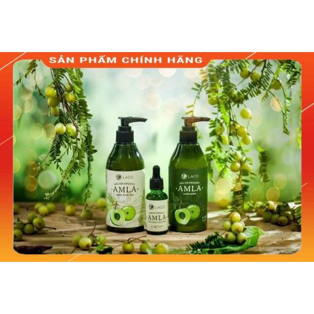 FreeShip-Mỹ Phẩm Chính Hãng Dầu gội Xả Serum kích thích mọc tóc Organic AMLA Suôn Mềm 300ML Cho Tóc Mềm Mại Óng Mượt