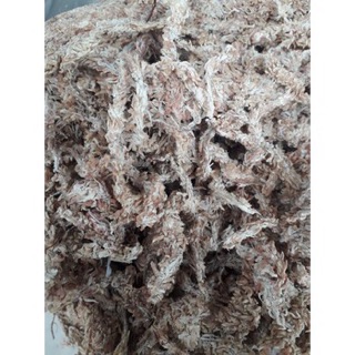 100g Rêu Sâu Chi Lê cao cấp trồng Lan